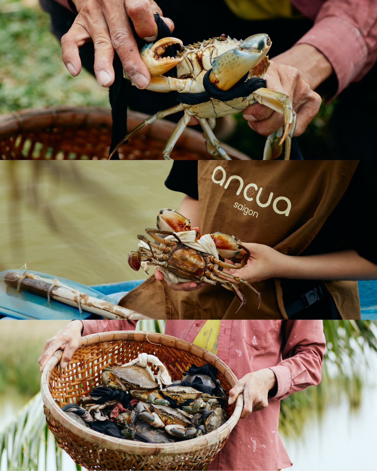 Footer Image